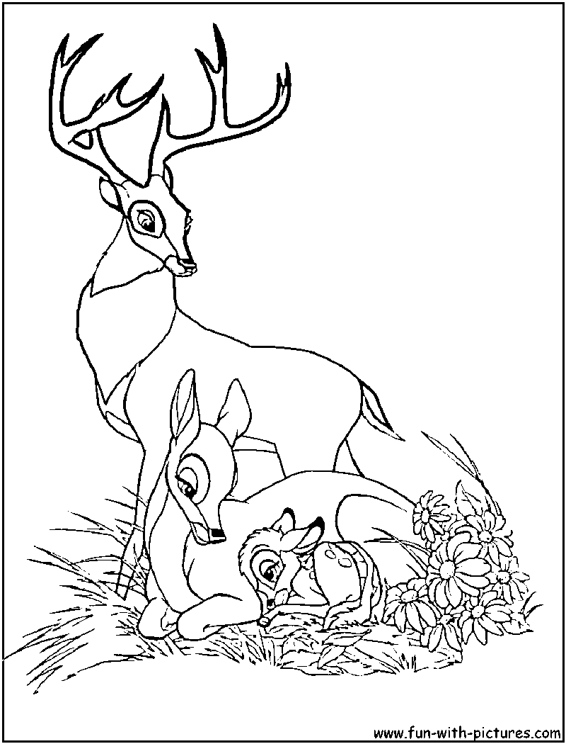 800x1050 Bambi Coloring Pages