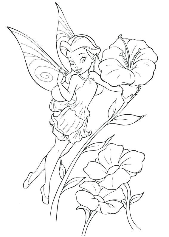 Disney Fairy Coloring Pages Or Fairy Coloring Pages Cartoon Fairy 567x794 Disney Fairy Coloring Pages Or Fairy Coloring Pages Cartoon Fairy