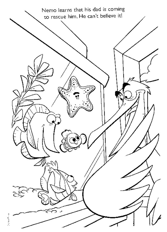 700x970 Mejores 100 De Disney Finding Nemo Coloring Pages Disney