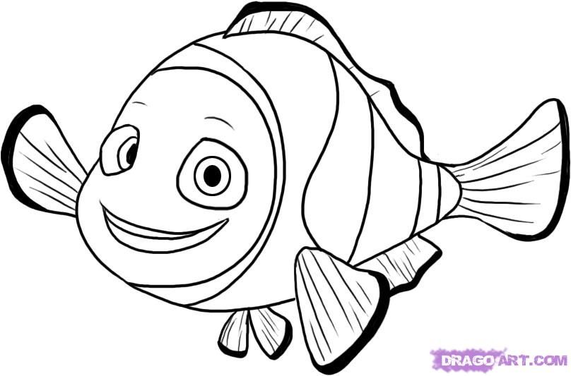 808x533 Disney Finding Nemo Coloring Pages College Here I Come