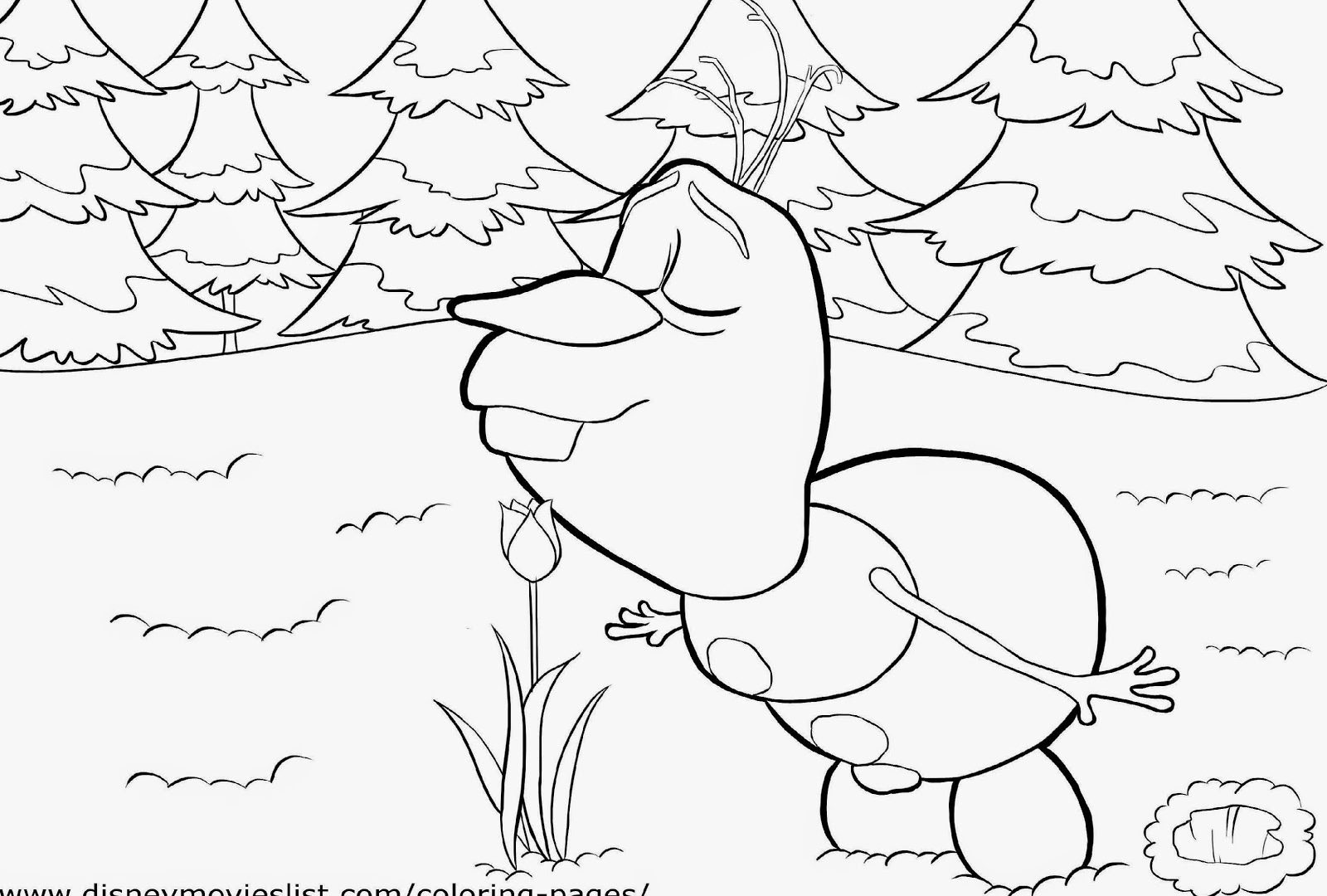 Free Frozen Coloring Pages And Activity Sheet Printable Pictures 1600x1080 Free Frozen Coloring Pages And Activity Sheet Printable Pictures