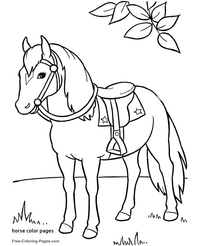 Princess And Horse Coloring Pages Horse Coloring Page Carousel 670x820 Princess And Horse Coloring Pages Horse Coloring Page Carousel