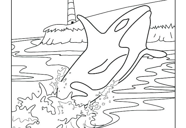 Coloring Pages Octonauts Whale Shark Coloring Pages Coloring Pages 618x425 Coloring Pages Octonauts Whale Shark Coloring Pages Coloring Pages