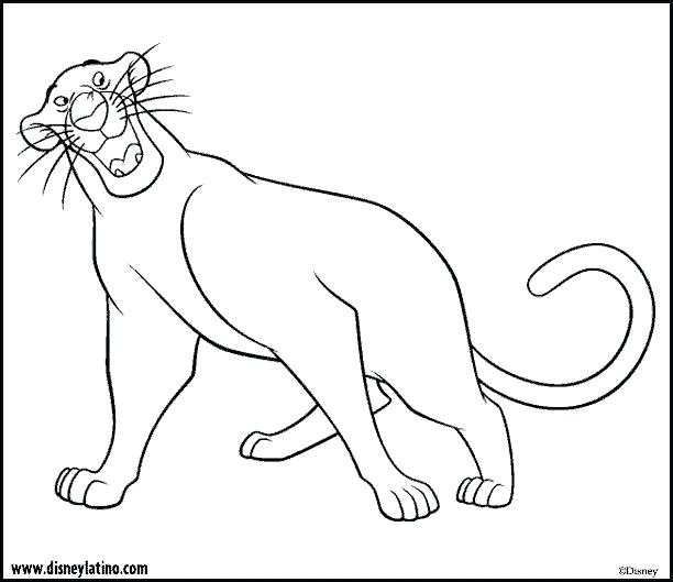 The Jungle Book Coloring Book Download Large Image Jungle Book 612x529 The Jungle Book Coloring Book Download Large Image Jungle Book
