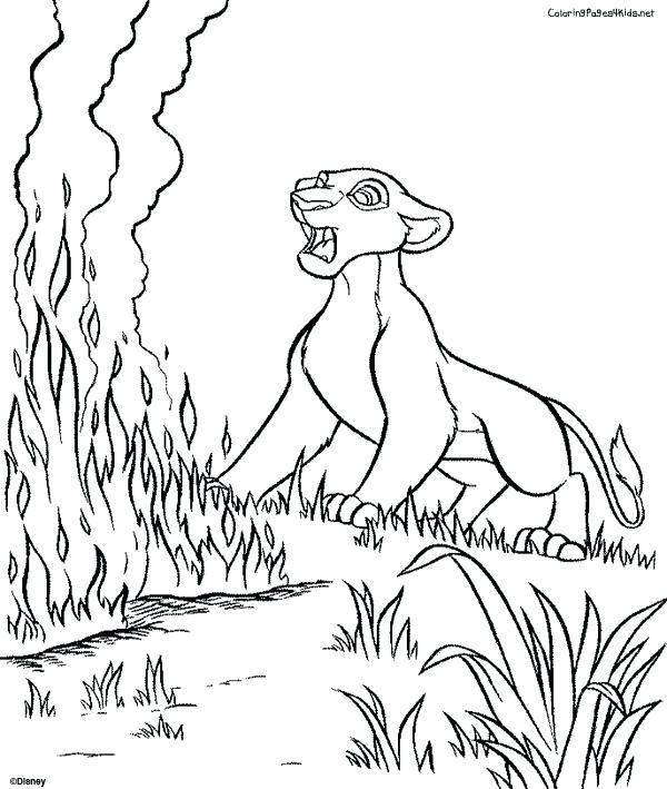 Lion King Color Pages 600x709 Lion King Color Pages