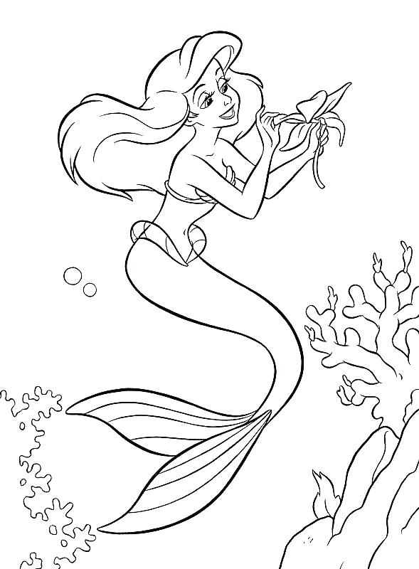 589x800 Ariel Coloring Pages Online