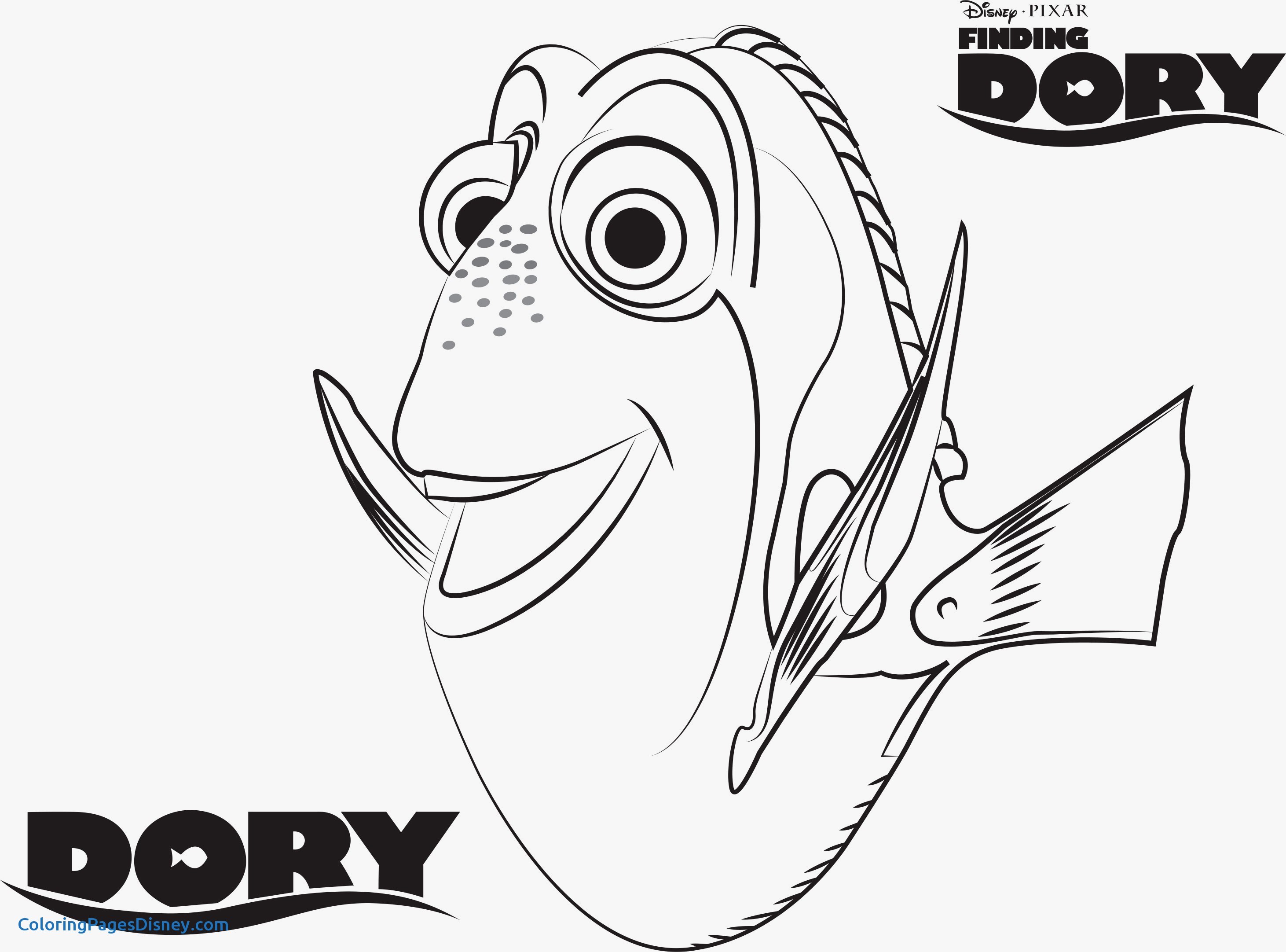 Finding Nemo Coloring Pages Beautiful Best 41 Best Colouring 2923x2163 Finding Nemo Coloring Pages Beautiful Best 41 Best Colouring