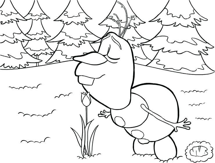 740x562 Frozen Olaf Coloring Pages Grandmaman.site