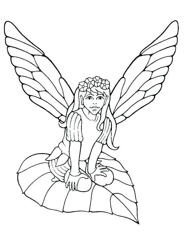 Pirate Fairy Printable Coloring Pages 650x850 Pirate Fairy Printable Coloring Pages