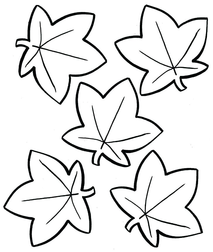 Disney Fall Coloring Pages Fall Coloring Pages Printable Free 728x860 Disney Fall Coloring Pages Fall Coloring Pages Printable Free