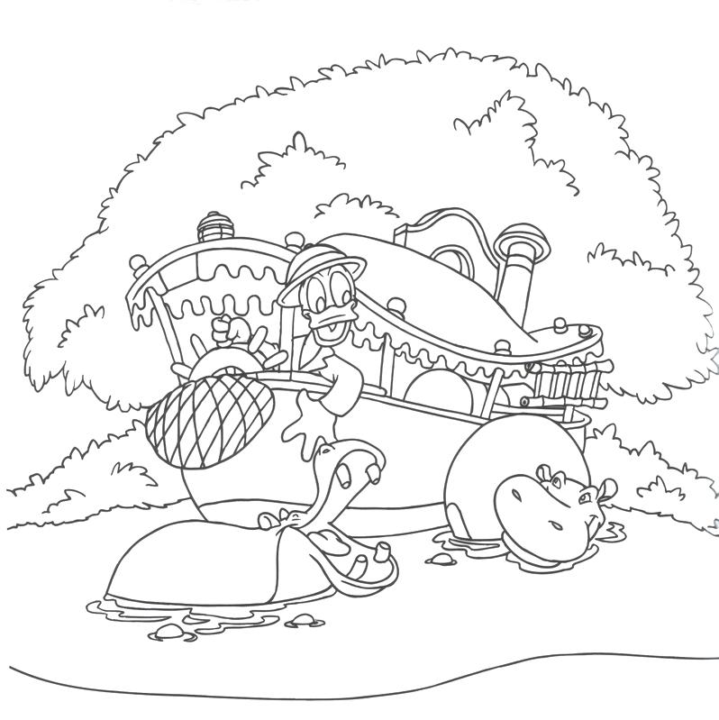 Disney World Coloring Pages Hometrenddesign.win 798x799 Disney World Coloring Pages Hometrenddesign.win