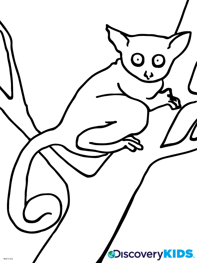 648x864 Dk Coloring Pages Busy Ba Coloring Page Discovery Kids Colouring