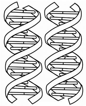 290x357 Images Of Dna Coloring Pages Crime Lab Investigators