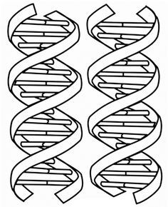 236x290 Teaching Materials Chemistry For Dna Coloring Page