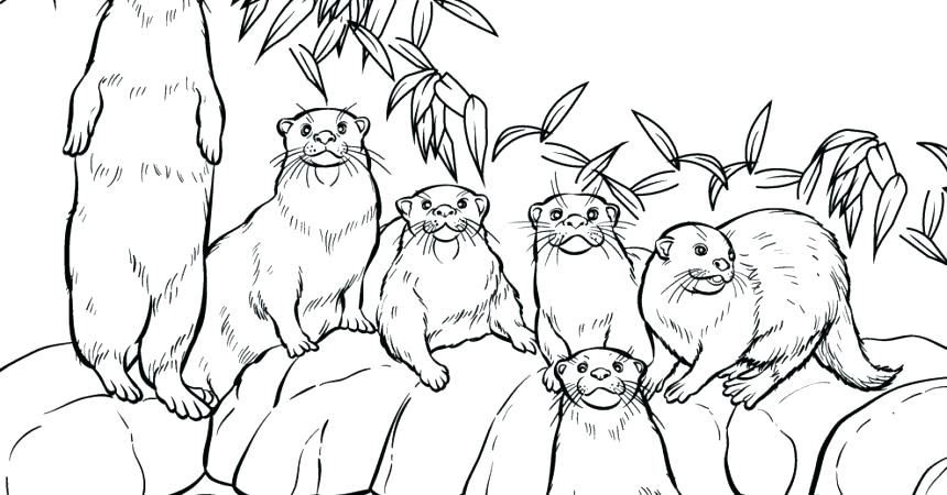 Otter Coloring Page Click The Otter Coloring Pages River Otter 860x450 Otter Coloring Page Click The Otter Coloring Pages River Otter