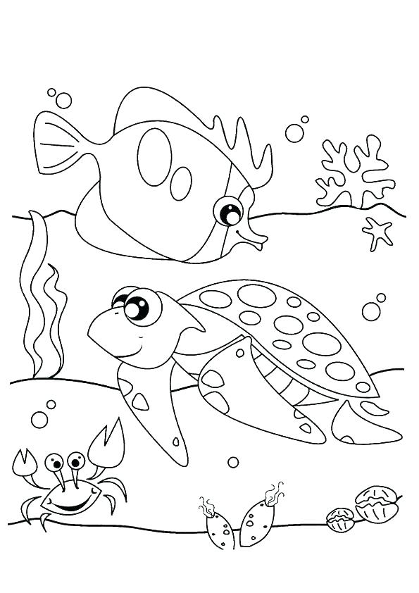 Otter Coloring Page Otter Coloring Pages Otter Coloring Pages 595x842 Otter Coloring Page Otter Coloring Pages Otter Coloring Pages