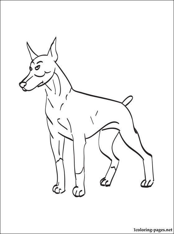 560x750 Doberman Coloring Pages Doberman Pinscher Coloring Page Coloring
