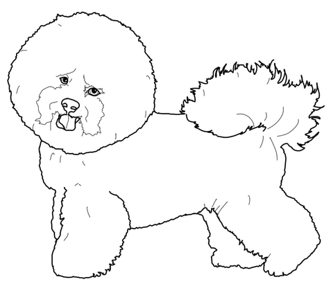480x410 Labrador And Mastiff Coloring Page