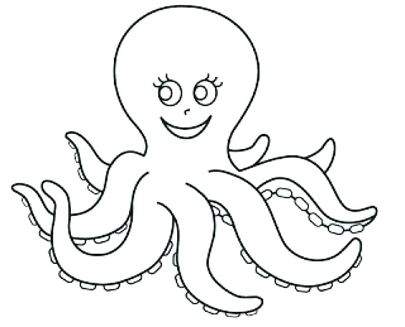 800x647 Octopus Coloring Page Octopus Coloring Page Preschool Doctor