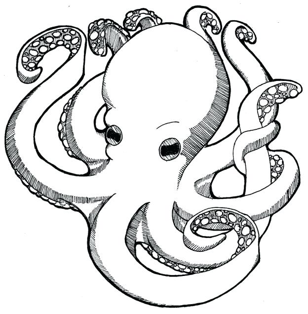 624x636 Octopus Coloring Pages Free Printable Octopus Coloring Pages Dr