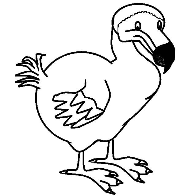 Dodo Bird Coloring Page