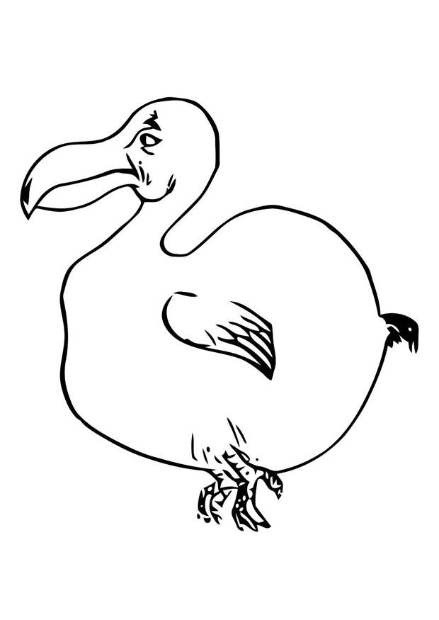 Coloring Page Bird 620x875 Coloring Page Bird