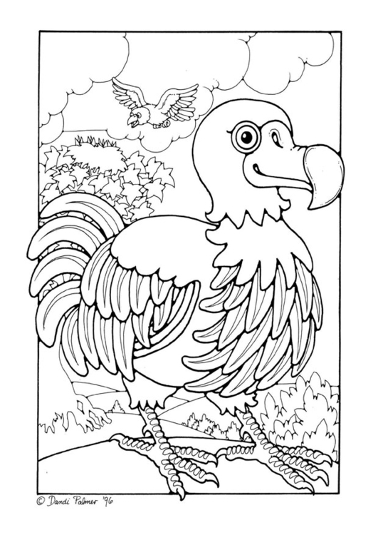 Coloring Page Dodo 531x750 Coloring Page Dodo