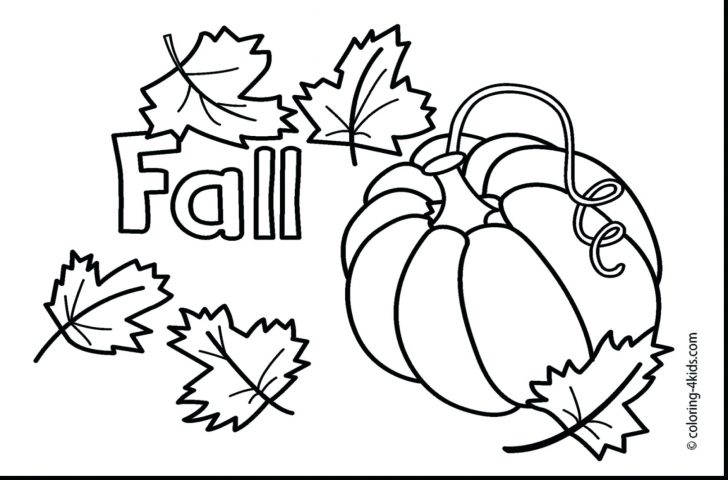 Dodo Bird Coloring Pages For Kids Thanksgiving Dinner Fall 728x480 Dodo Bird Coloring Pages For Kids Thanksgiving Dinner Fall