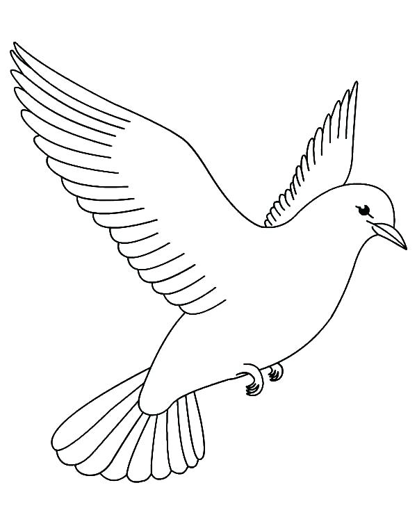 Bird Coloring Pages Pages To Color Printable Best Free Coloring 600x731 Bird Coloring Pages Pages To Color Printable Best Free Coloring
