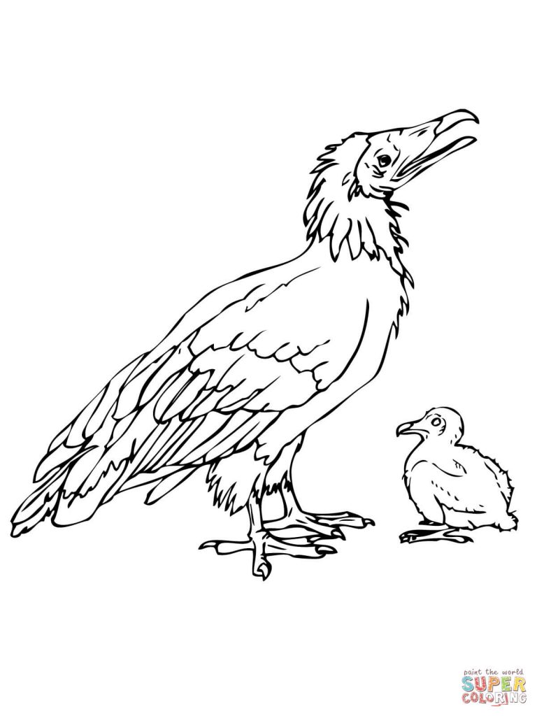 Dodo Bird With Chick Download Coloring Page 768x1024 Dodo Bird With Chick Download Coloring Page