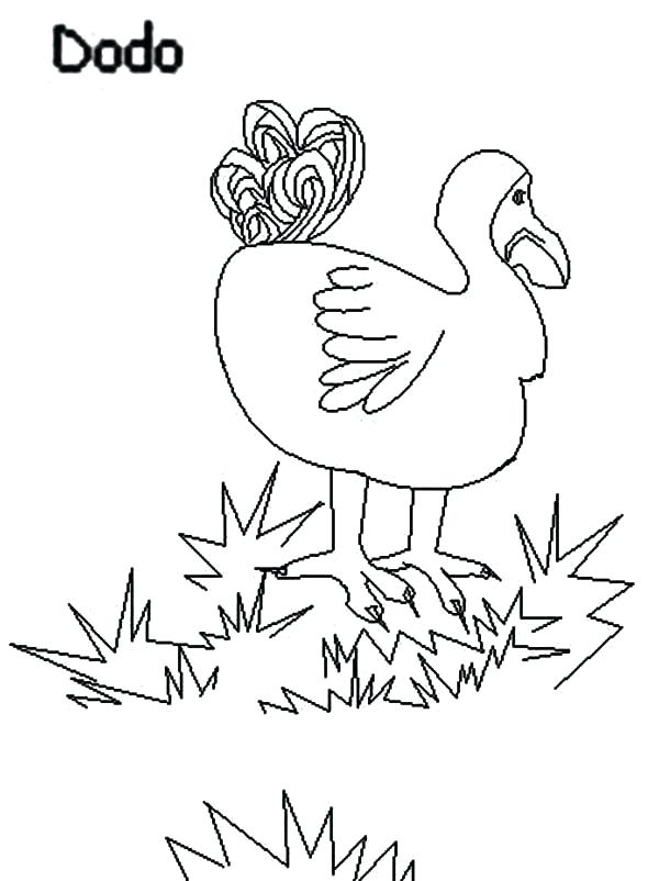 Grass Coloring Pages Dodo Bird Stepping On Grass Coloring Pages 600x802 Grass Coloring Pages Dodo Bird Stepping On Grass Coloring Pages