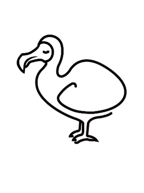 How To Draw Dodo Bird Coloring Pages 600x801 How To Draw Dodo Bird Coloring Pages
