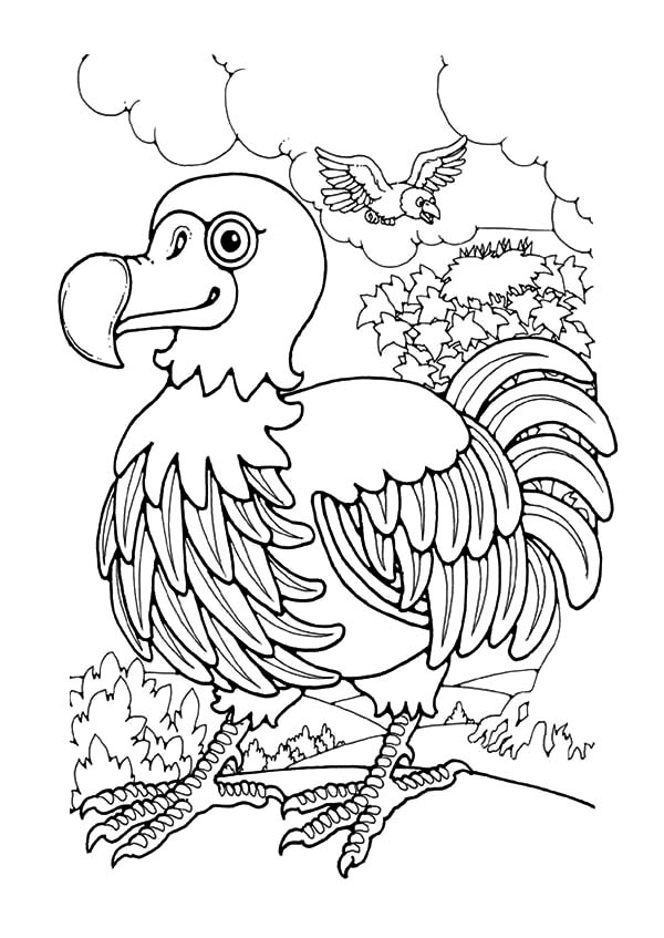 Mauritius Endemic Dodo Bird Coloring Pages 600x847 Mauritius Endemic Dodo Bird Coloring Pages