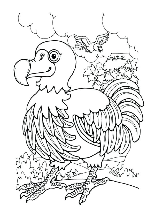 600x847 Dodo Animal Coloring Pages Endemic Dodo Bird Coloring Pages Color