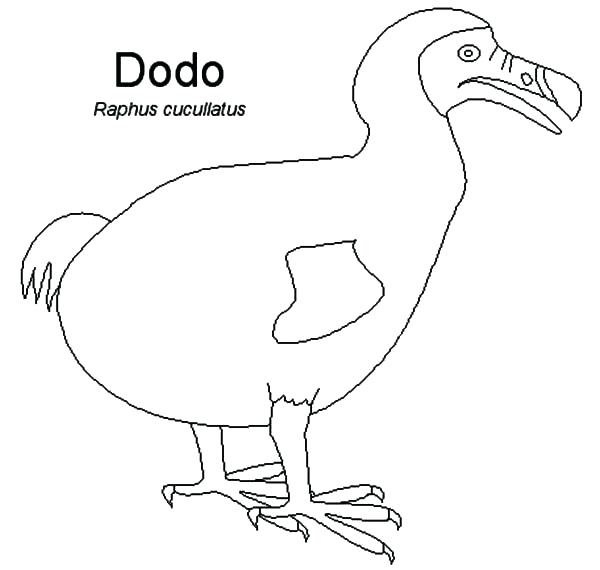 Dodo Coloring Pages at GetColorings.com | Free printable colorings ...