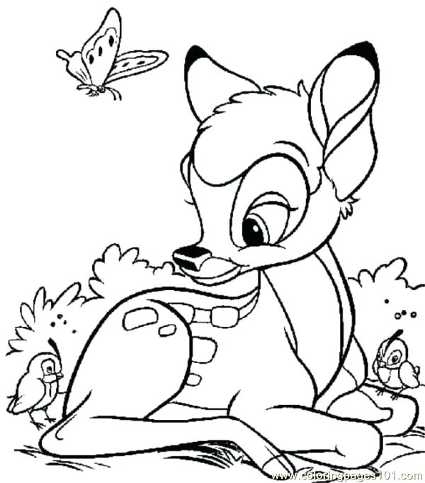 Doe Coloring Pages