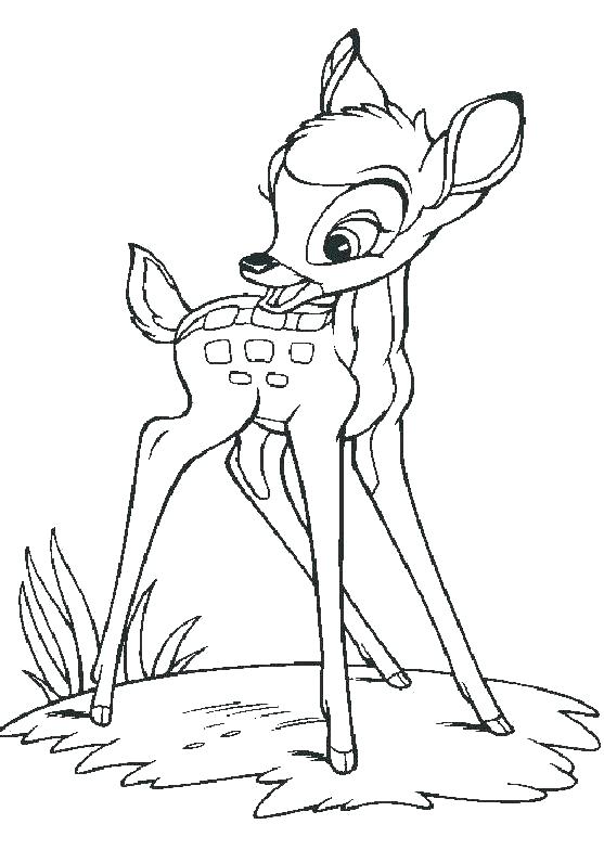 557x784 White Tailed Deer Coloring Page John Coloring Book John Excavator