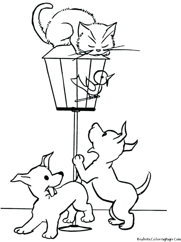 618x824 Coloring Pictures Of Dogs And Cats Realistic Dog Coloring Pages