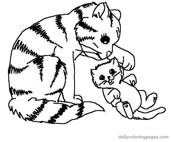 600x500 Cat Color Pages Printable Cute Cat Coloring Pages 003 Cat,'S