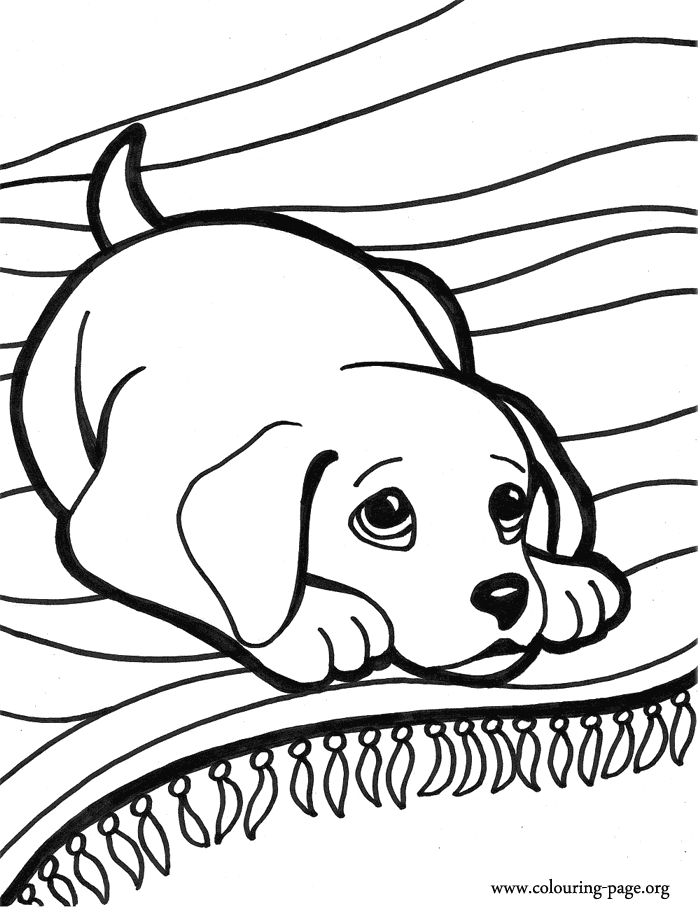 Printable Puppy Coloring Pages Best 25 Puppy Coloring Pages Ideas 700x912 Printable Puppy Coloring Pages Best 25 Puppy Coloring Pages Ideas