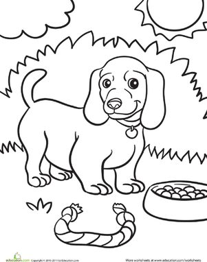 Weiner Dog Puppy Coloring Page Weiner Dogs, Worksheets 301x382 Weiner Dog Puppy Coloring Page Weiner Dogs, Worksheets