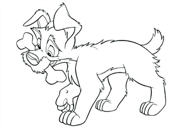 600x417 Skeleton Coloring Page Bone Coloring Page Dog Bone Coloring Page