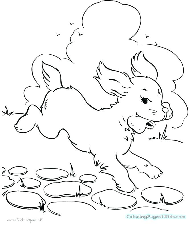 Dog Bone Coloring Page Dog Bone Coloring Page Dog Bone And Dog 670x788 Dog Bone Coloring Page Dog Bone Coloring Page Dog Bone And Dog