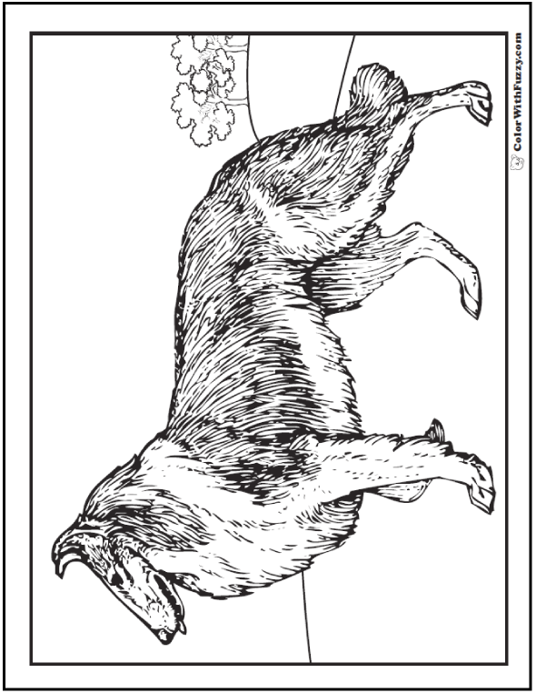 Dog Coloring Pages Breeds, Bones, And Dog Houses 590x762 Dog Coloring Pages Breeds, Bones, And Dog Houses