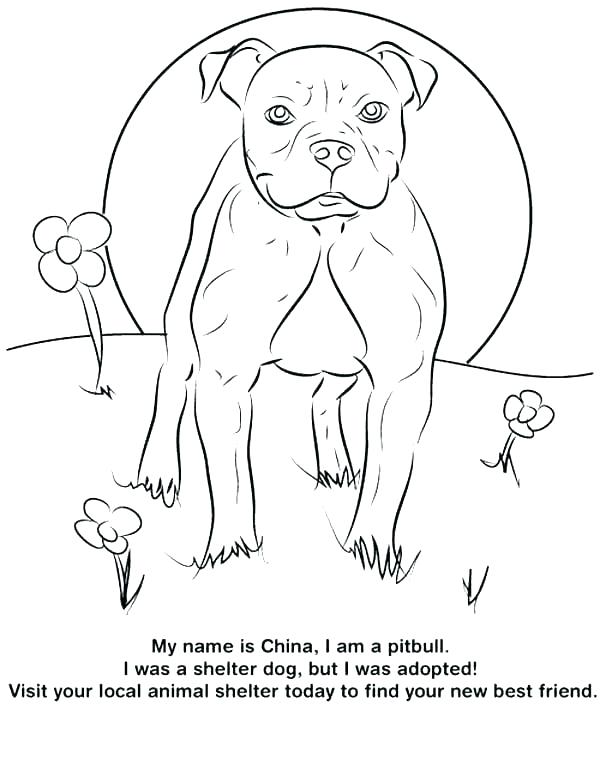 Free Dog Coloring Pages Realistic Dog Coloring Pages Realistic Dog 600x776 Free Dog Coloring Pages Realistic Dog Coloring Pages Realistic Dog