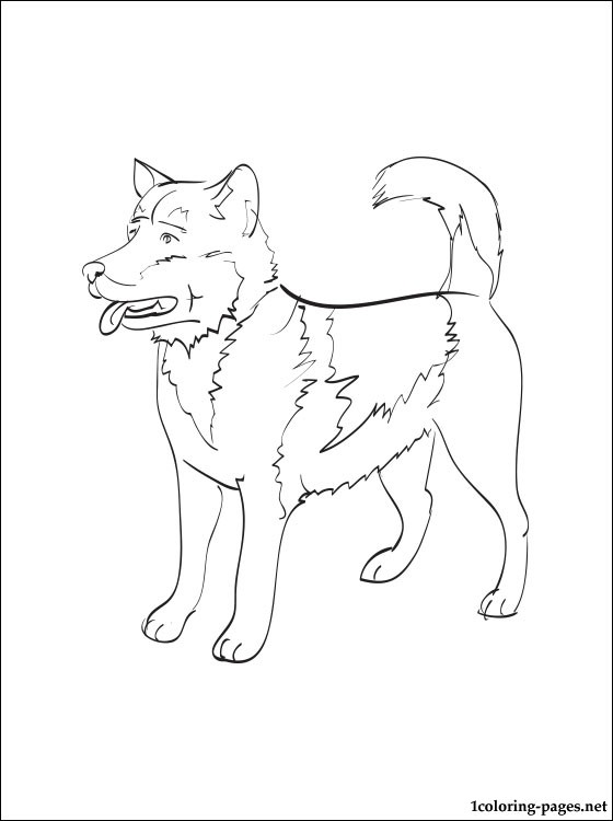 Greenland Dog Coloring Page Coloring Pages 560x750 Greenland Dog Coloring Page Coloring Pages