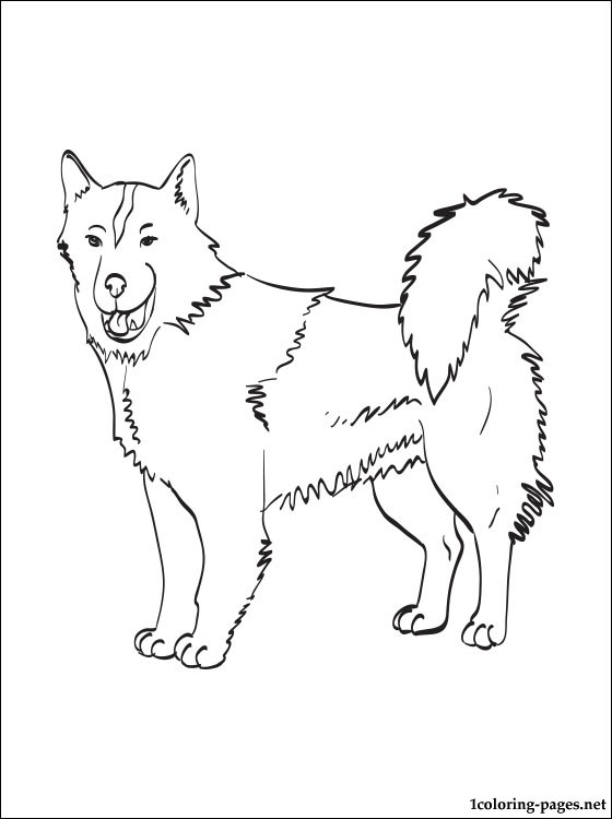 Canadian Eskimo Dog Coloring Page Coloring Pages 560x750 Canadian Eskimo Dog Coloring Page Coloring Pages