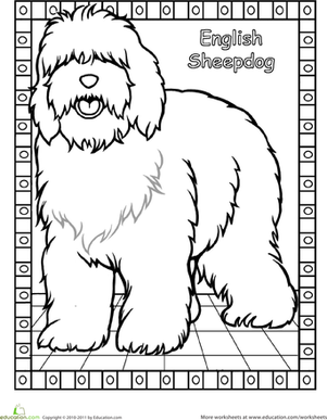 Color And Learn Dog Breed Coloring Pages 301x387 Color And Learn Dog Breed Coloring Pages