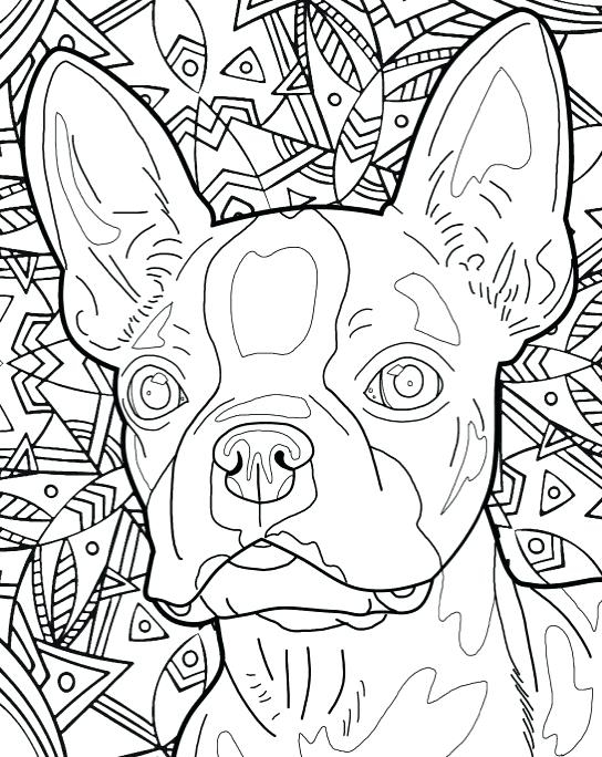 Coloring Book Pages Dog Breeds 544x684 Coloring Book Pages Dog Breeds
