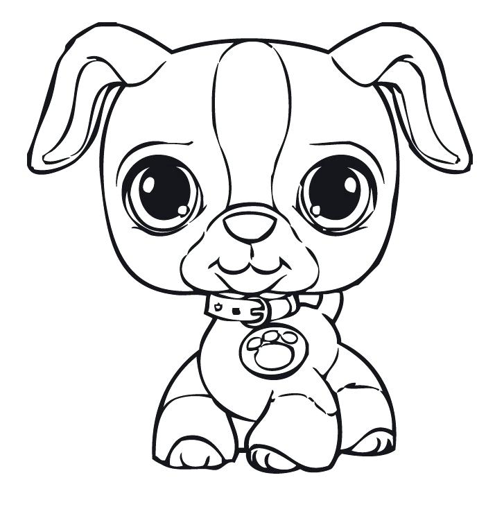 Coloring Pages Coloring Page Bunny Animal Dog Breed Coloring Pages 727x731 Coloring Pages Coloring Page Bunny Animal Dog Breed Coloring Pages